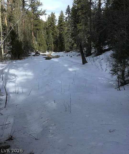 0 Deer Creek Property Photo 15