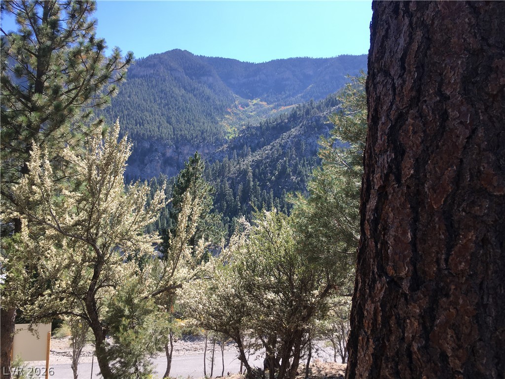 4878 Snow White Road Property Photo 10