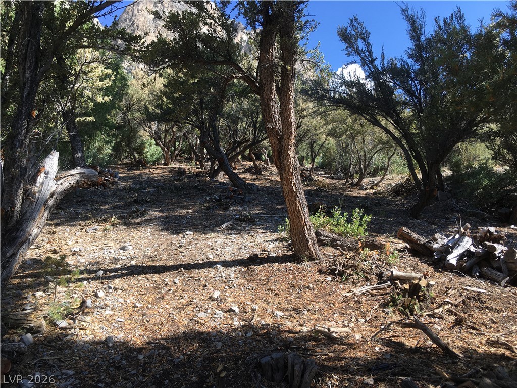 4878 Snow White Road Property Photo 11
