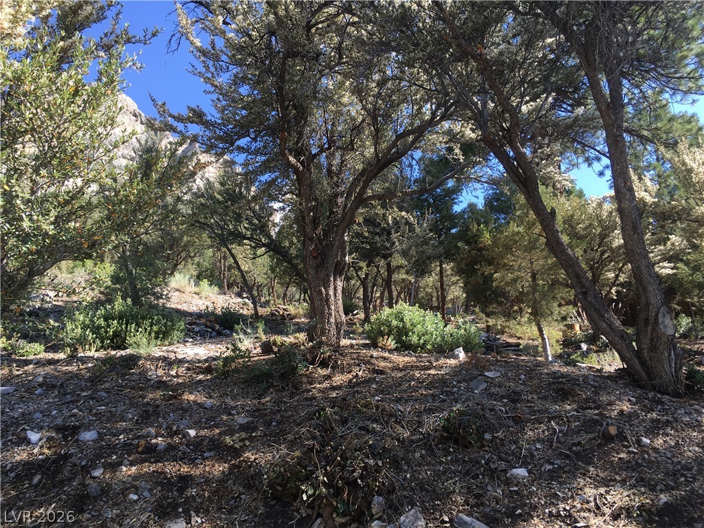 4878 Snow White Road Property Photo 15