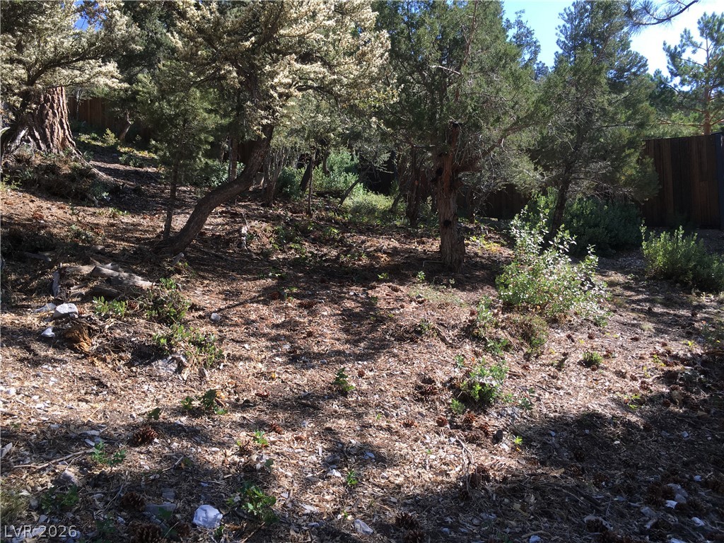4878 Snow White Road Property Photo 16