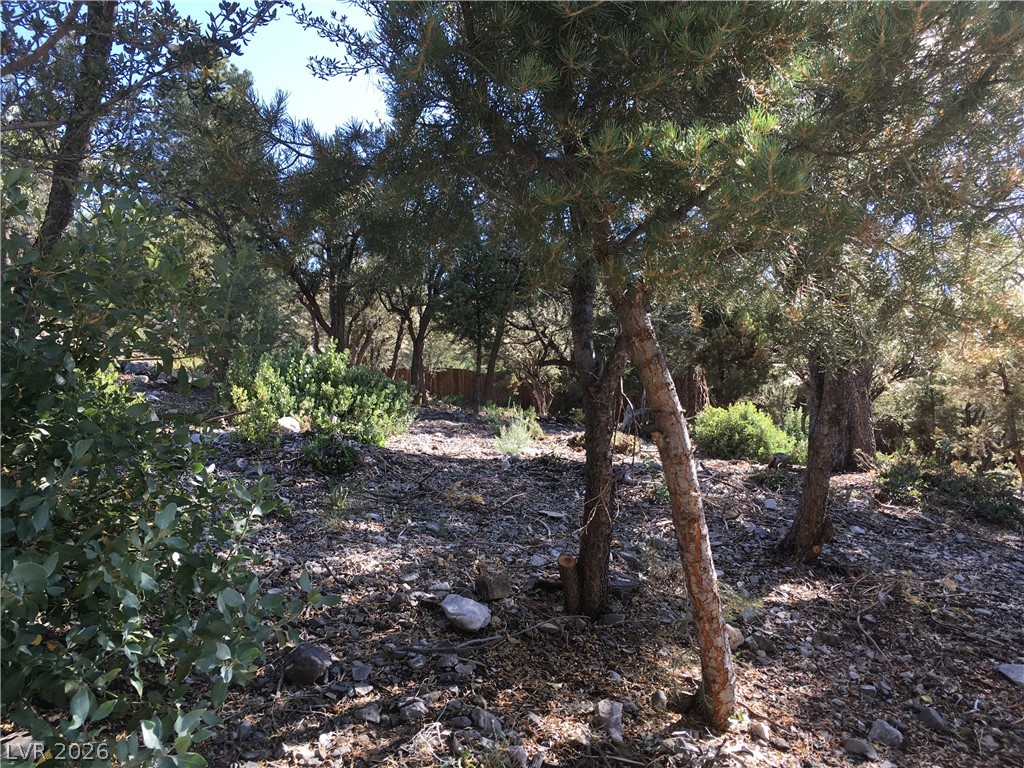 4878 Snow White Road Property Photo 17