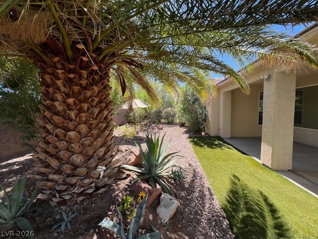4438 Regalo Bello Street Property Photo 28