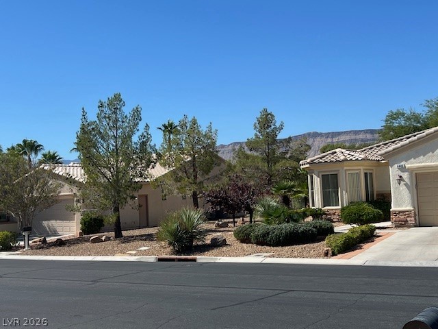 4438 Regalo Bello Street Property Photo 40
