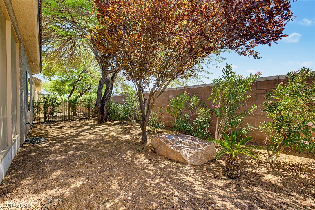 7841 Lily Trotter Street Property Photo 22