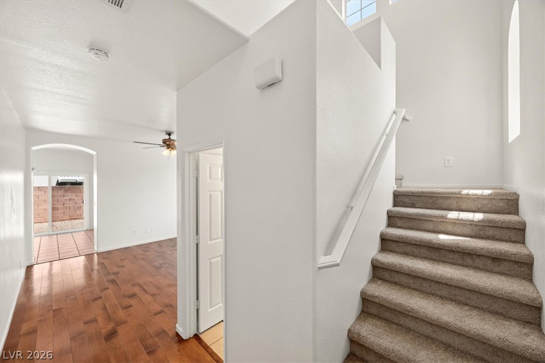 10244 Midnight Glow Court Property Photo 19