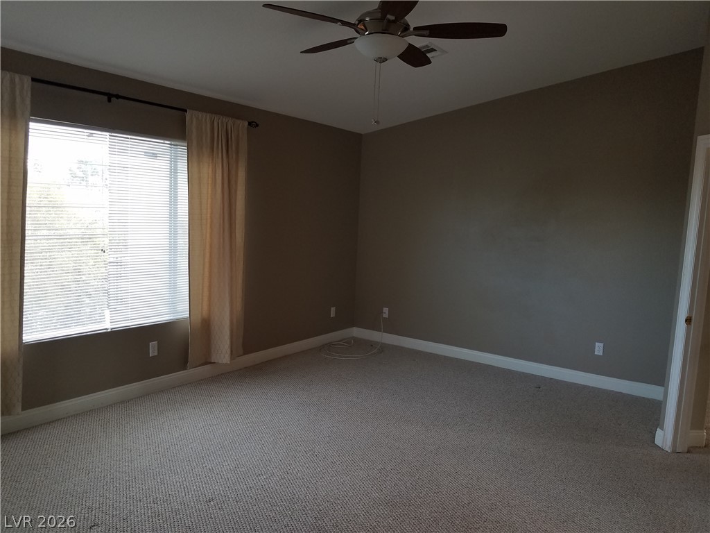 3412 Lacebark Pine Street Property Photo 17