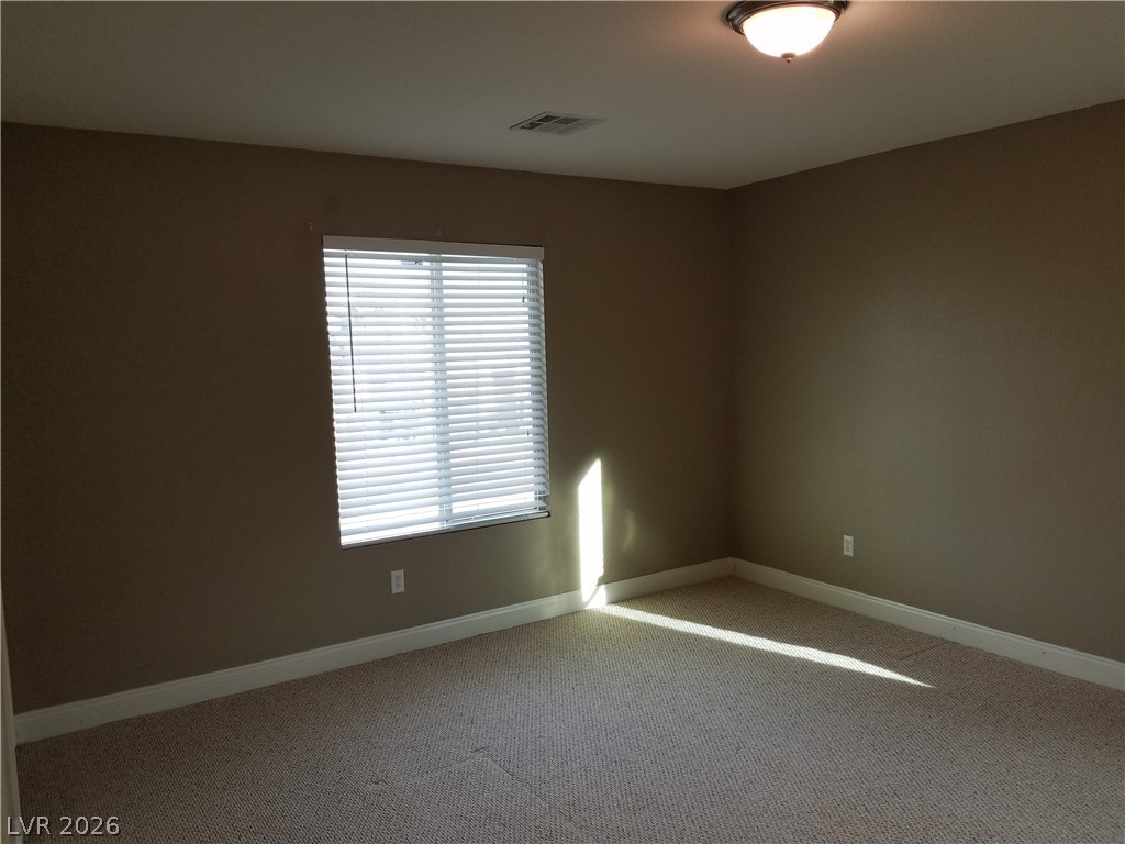 3412 Lacebark Pine Street Property Photo 22