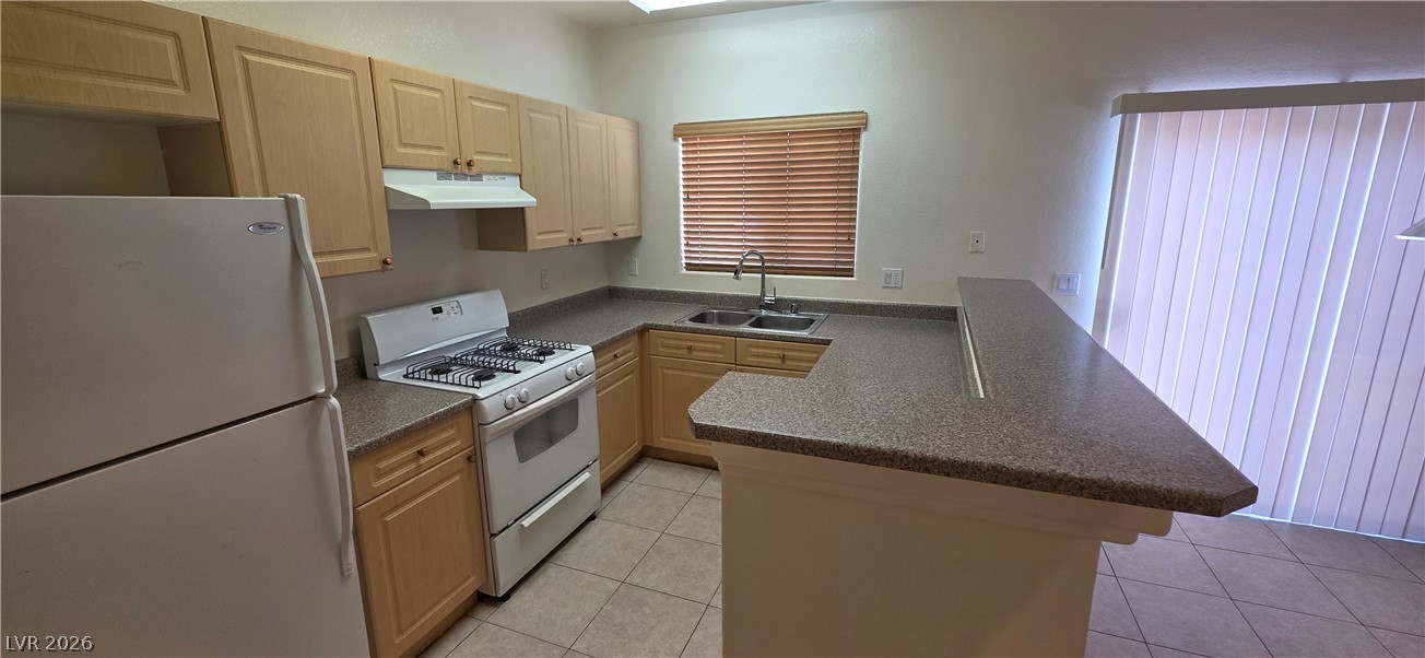 8832 Roping Rodeo Avenue 102 Property Photo 4