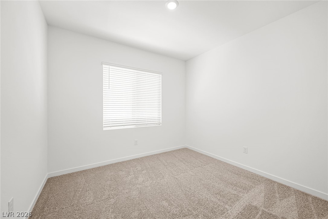 1431 Great Snipe Avenue Property Photo 17