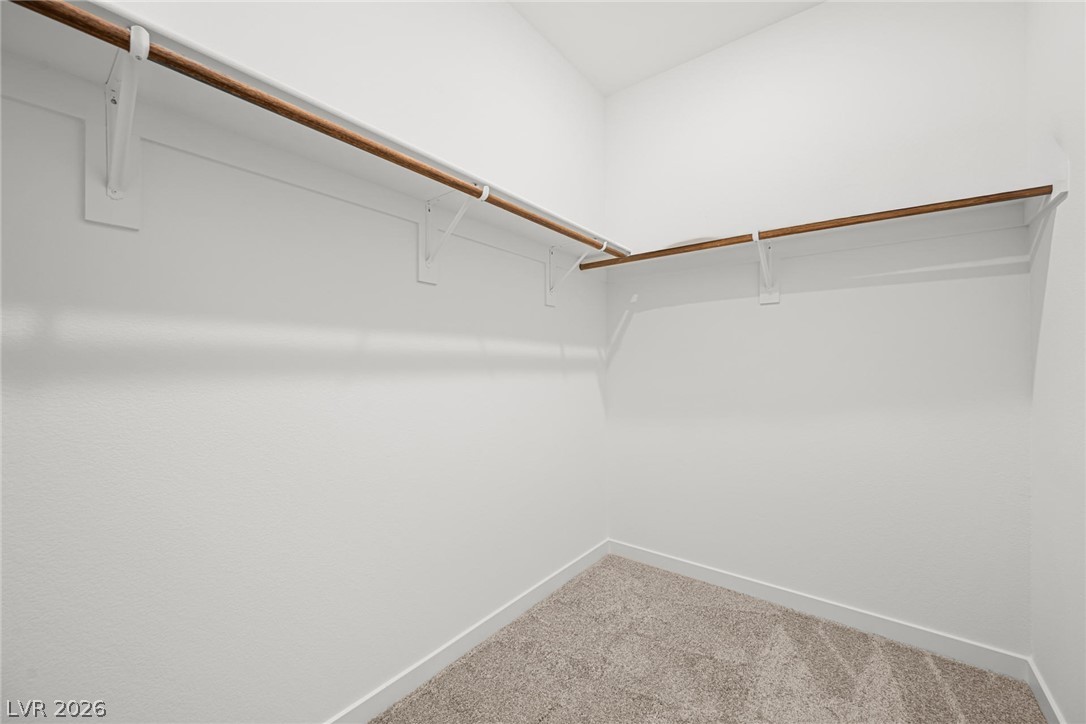 1431 Great Snipe Avenue Property Photo 24