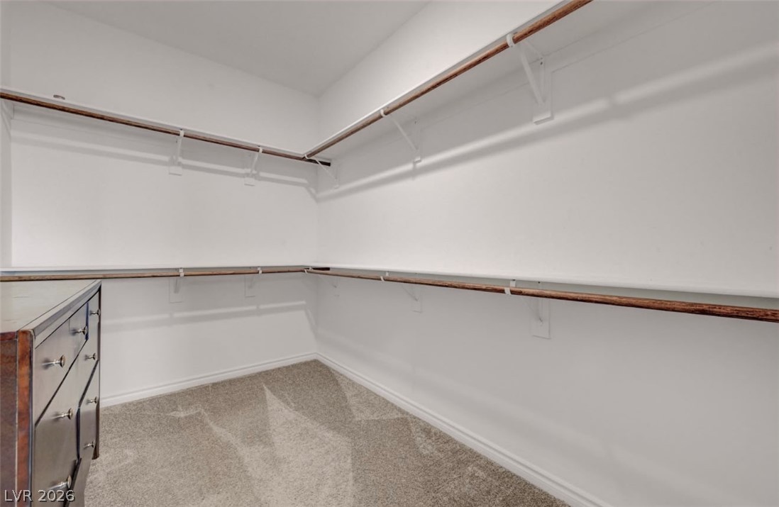 3770 Rosy Carina Place Property Photo 43