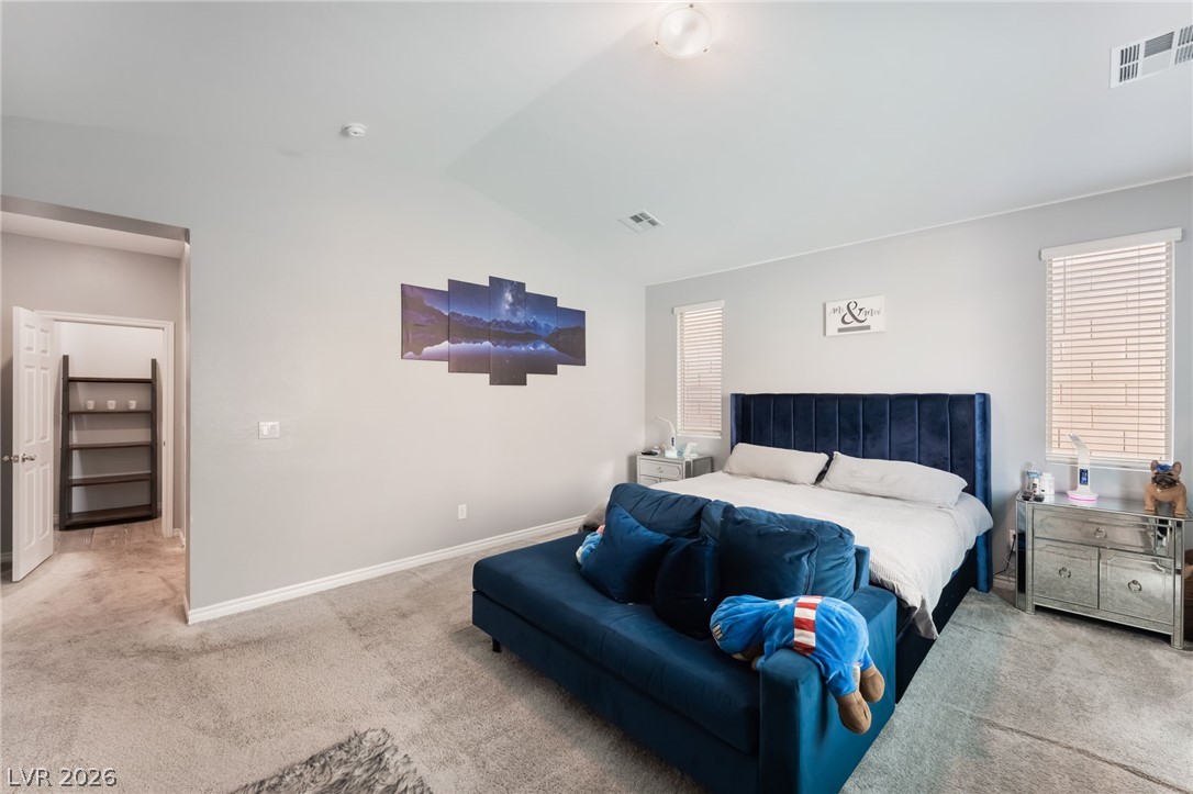 10124 Skye Saddle Avenue Property Photo 17