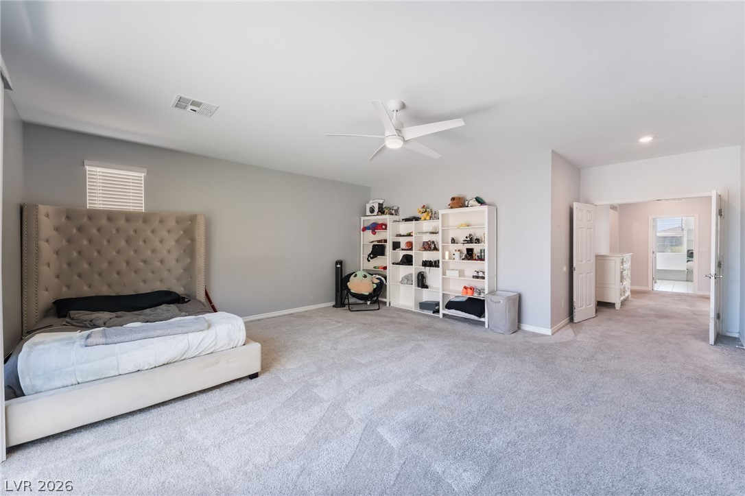 10124 Skye Saddle Avenue Property Photo 28