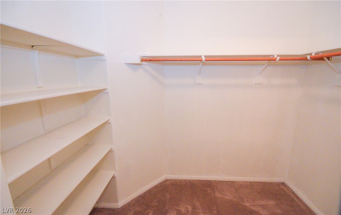 10624 Allegrini Drive Property Photo 19