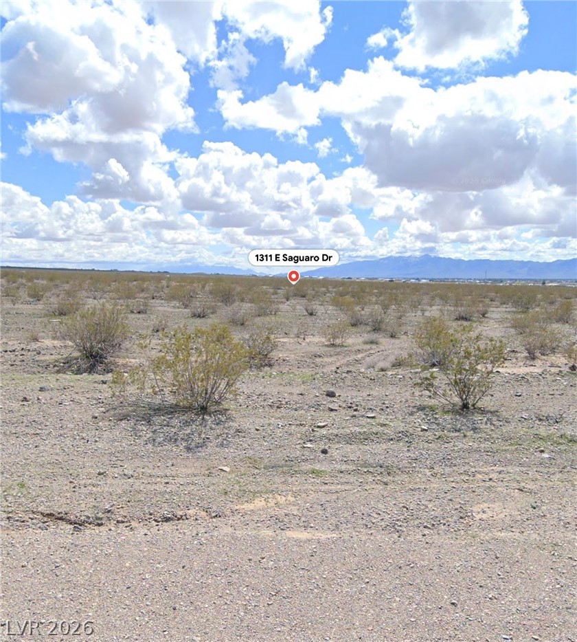 1311 Saguaro Lane Property Photo 1