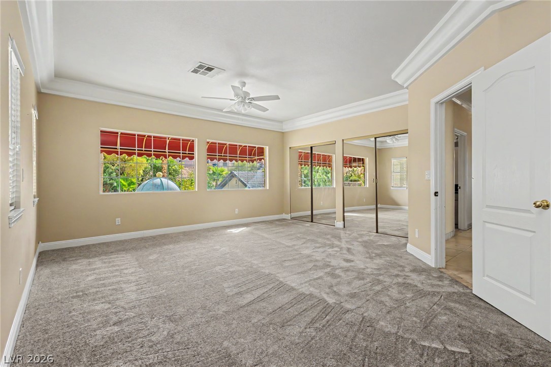 1101 Iolite Court Property Photo 64