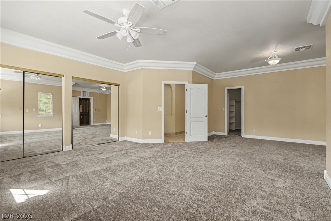 1101 Iolite Court Property Photo 65