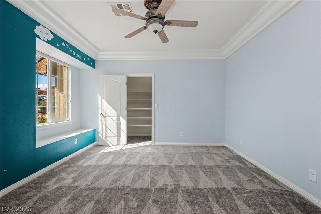 1101 Iolite Court Property Photo 68