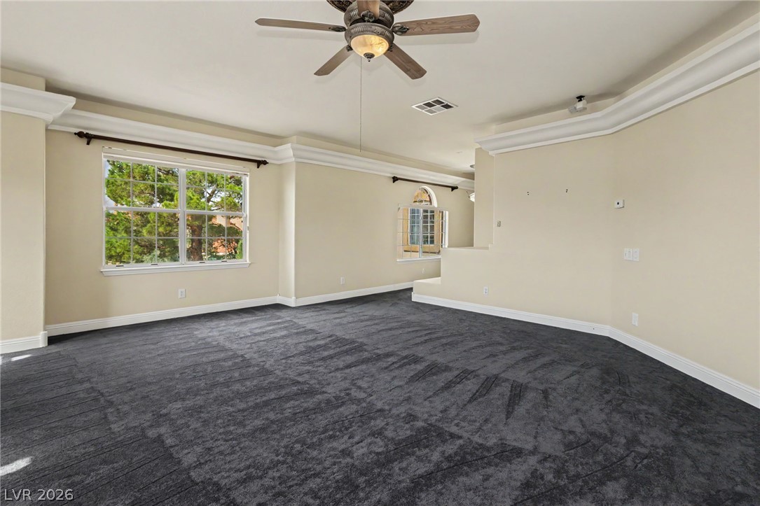 1101 Iolite Court Property Photo 77