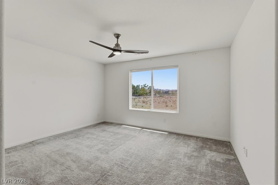 4423 Frias Falls Avenue Property Photo 7