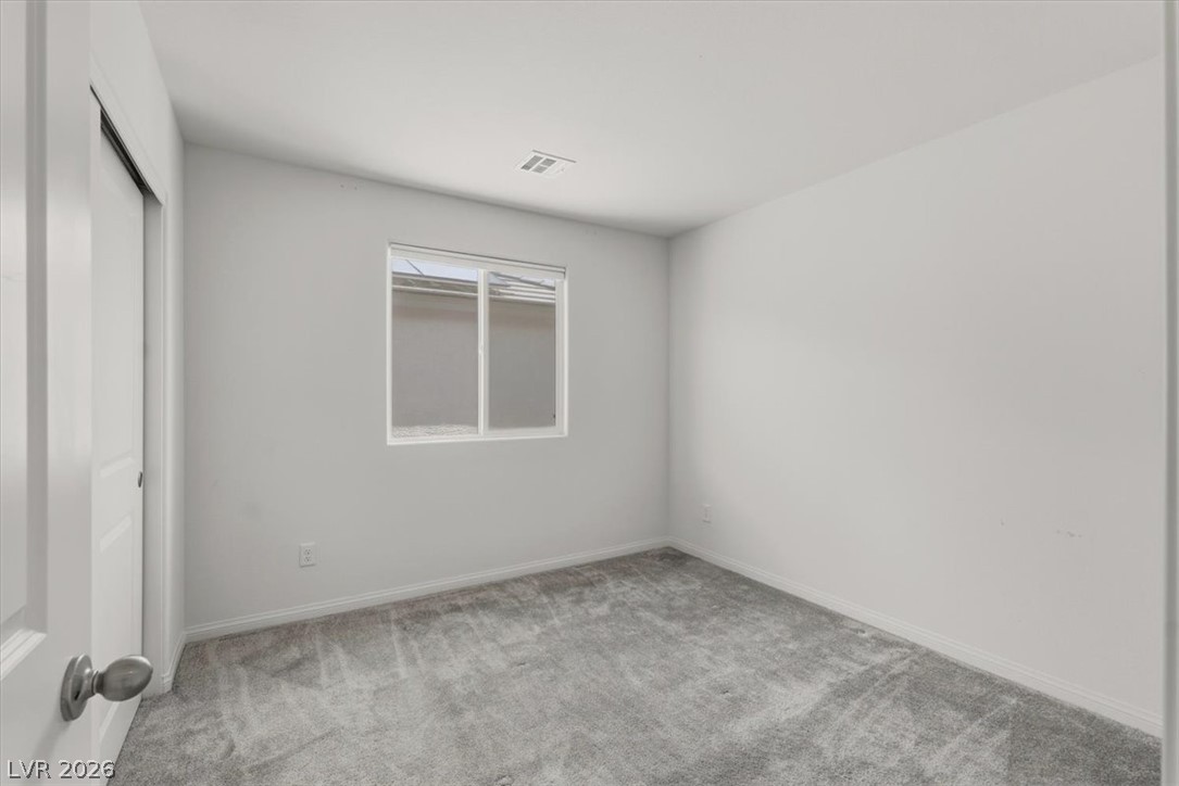 4423 Frias Falls Avenue Property Photo 21