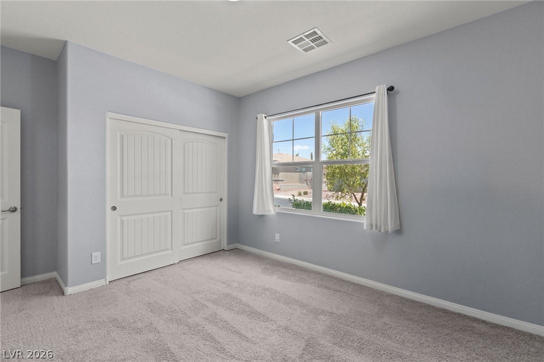 1410 Cattail Falls Street Property Photo 14