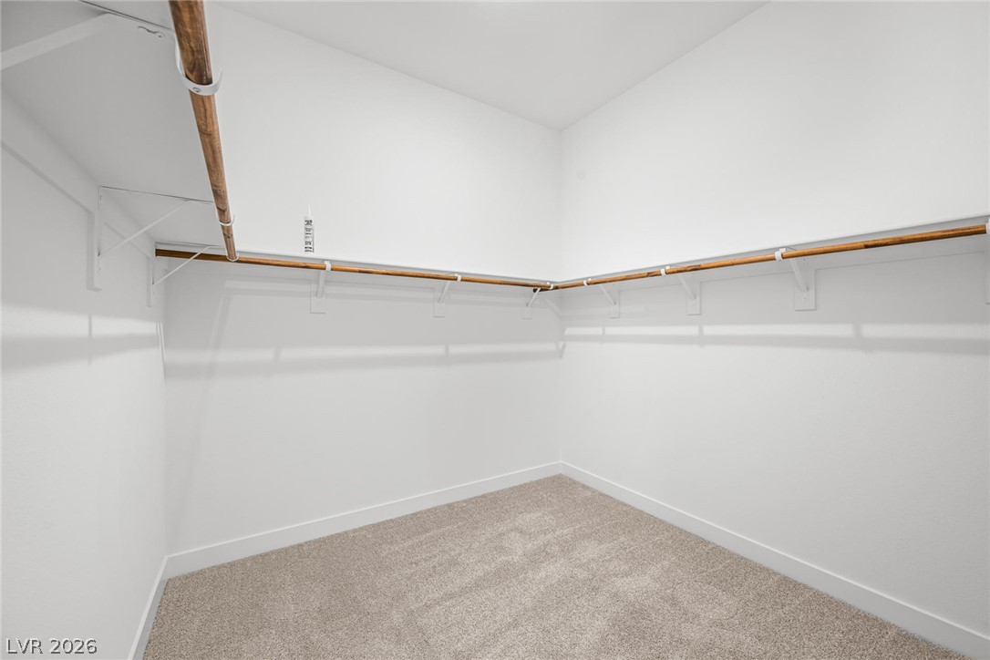 9385 Stella Summit Drive Property Photo 22