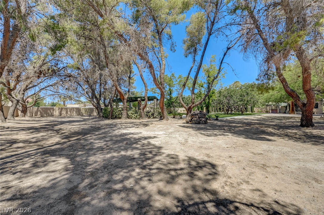 2701 Alta Drive Property Photo 87