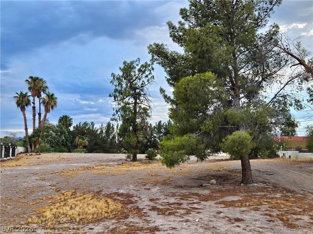 3115 East Viking Road Property Photo 10