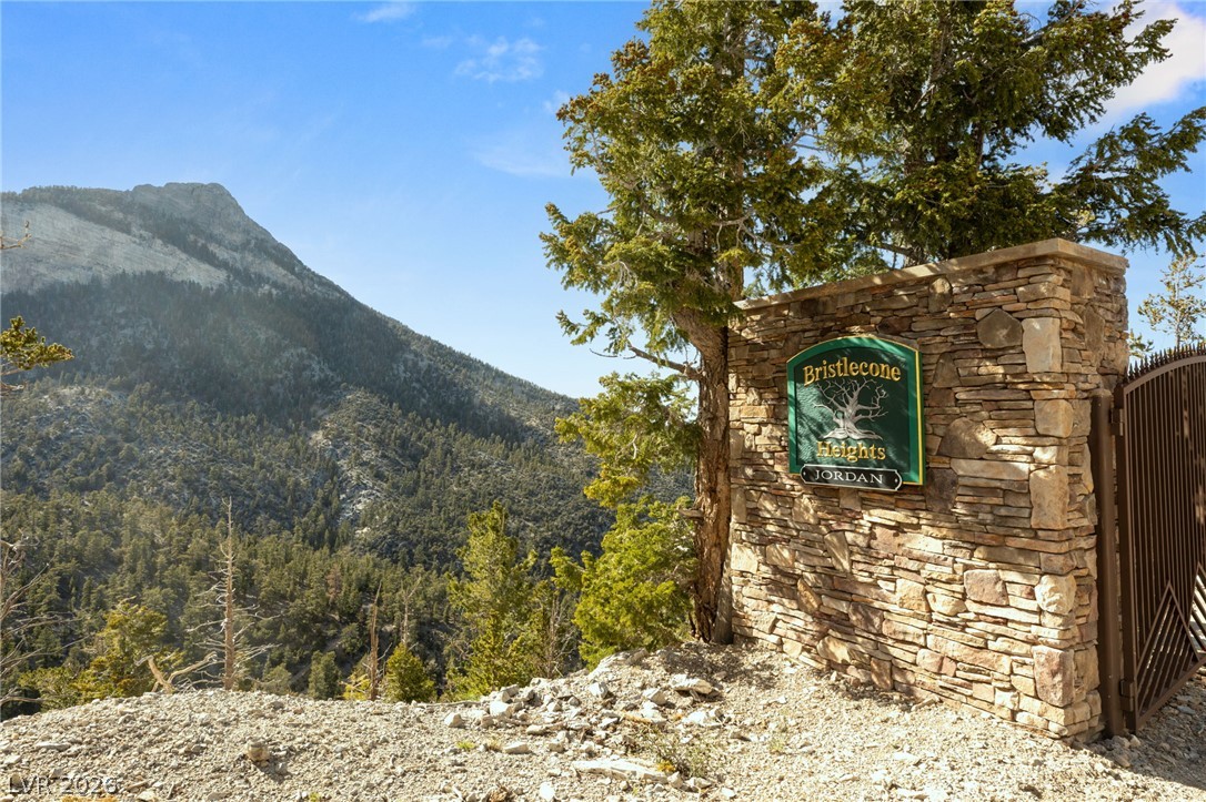 4910 Cougar Ridge Trail Property Photo 4