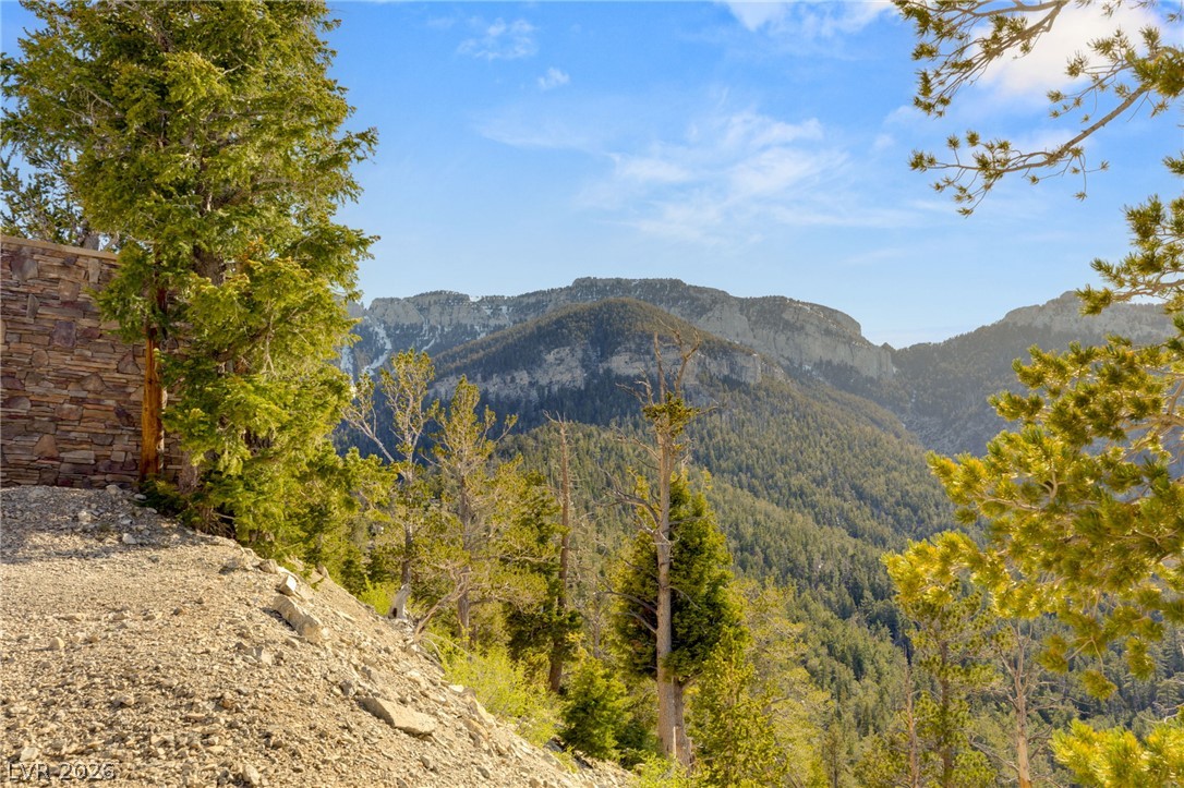 4910 Cougar Ridge Trail Property Photo 61