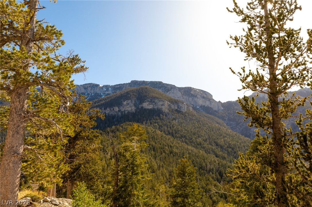 4910 Cougar Ridge Trail Property Photo 62