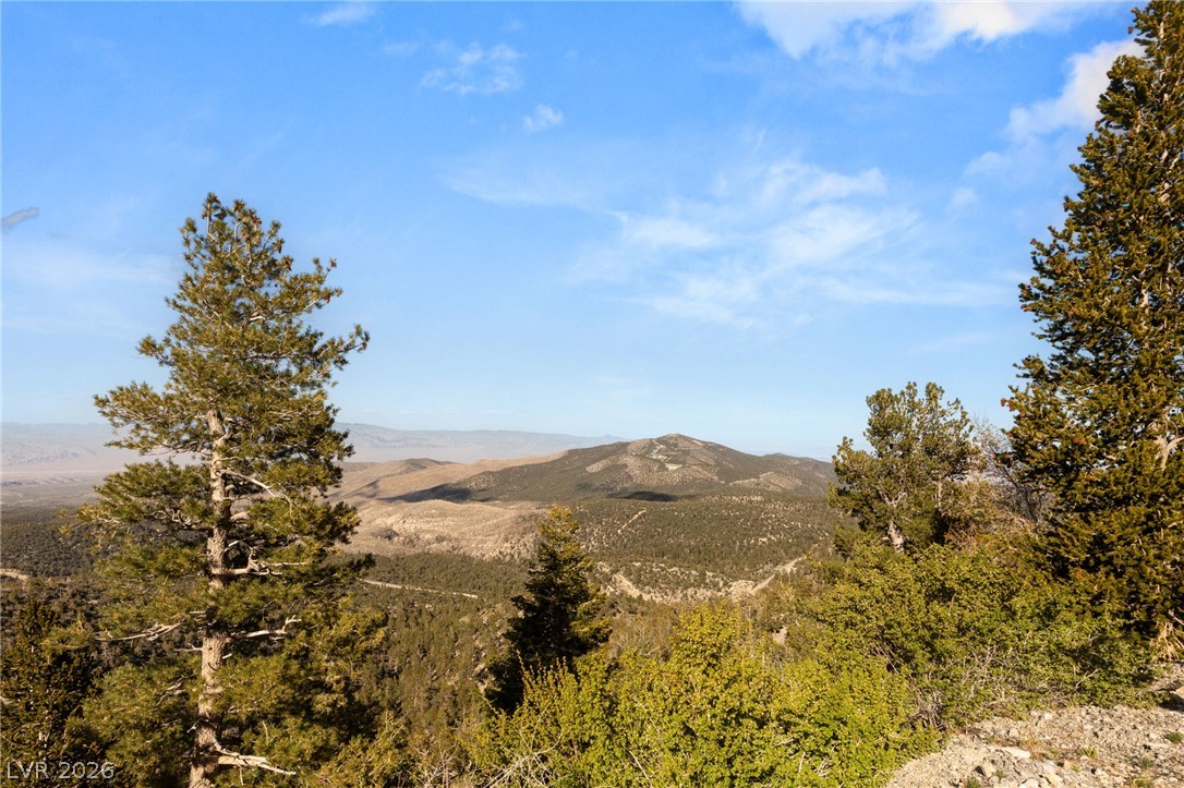4910 Cougar Ridge Trail Property Photo 63