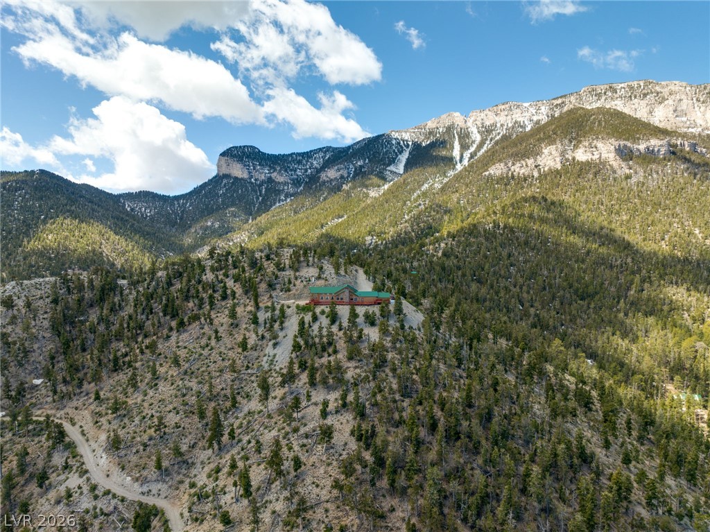 4910 Cougar Ridge Trail Property Photo 71