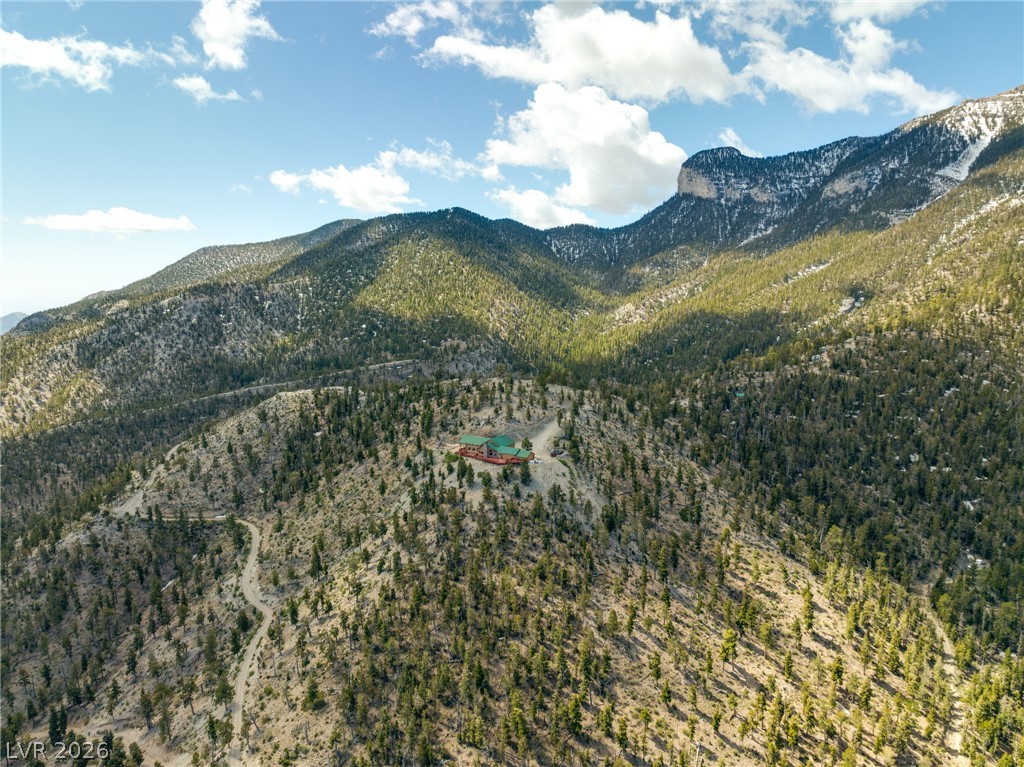 4910 Cougar Ridge Trail Property Photo 72