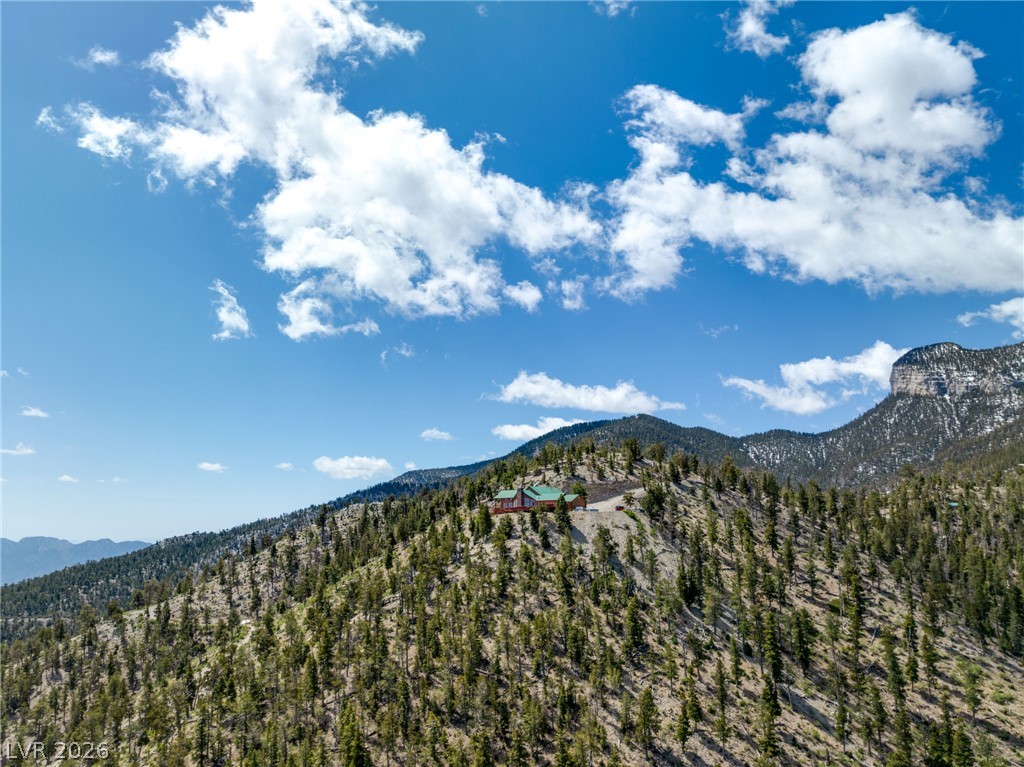 4910 Cougar Ridge Trail Property Photo 78