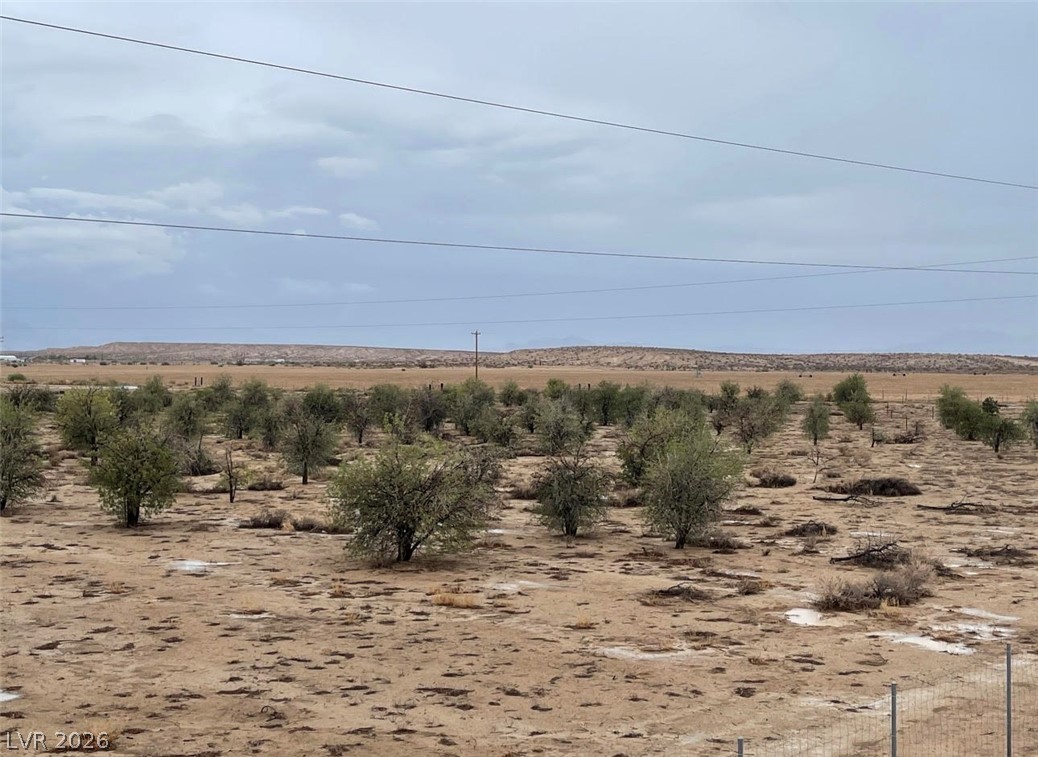 Bond Property Photo 4