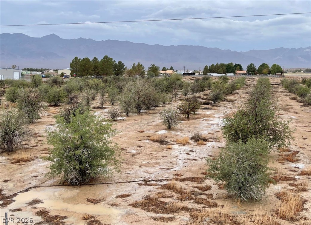 Bond Property Photo 6