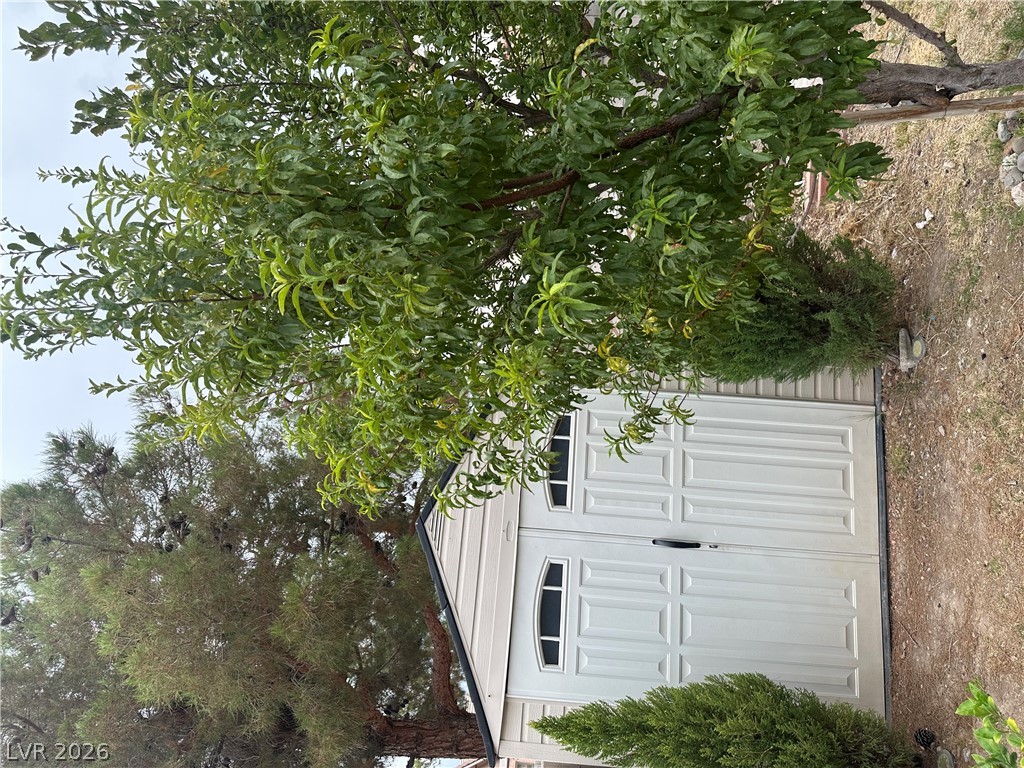 10126 Pennyroyal Street Property Photo 38