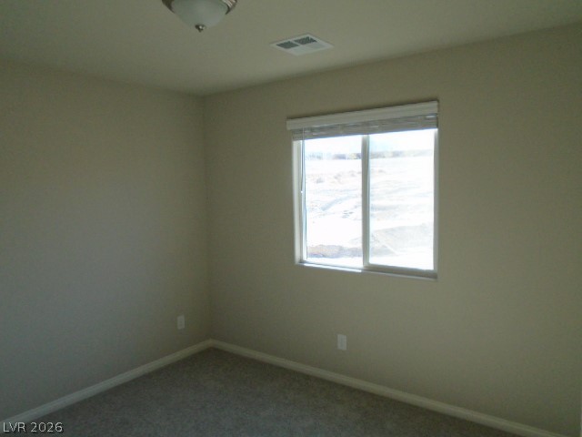 5281 Acadia Leaf Street Property Photo 27