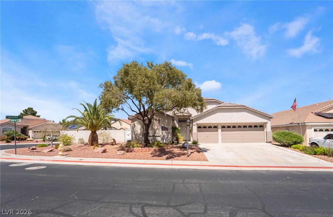 8528 Bandits Bluff Avenue Property Photo 1