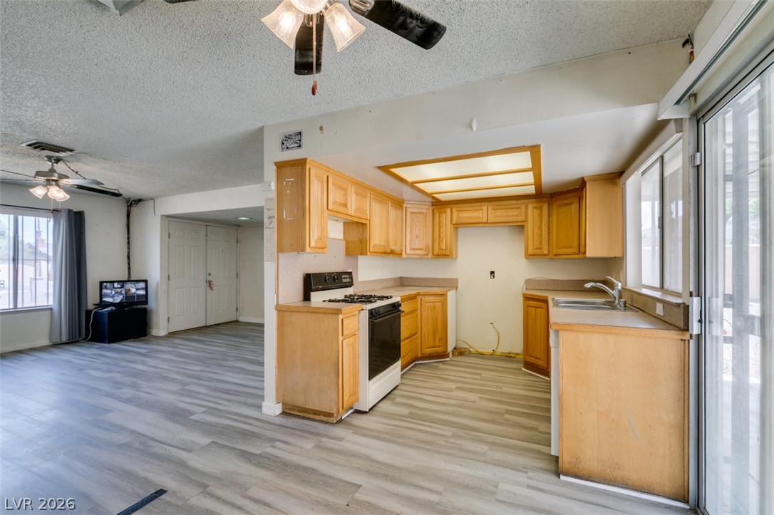 3845 Chutney Street Property Photo 22
