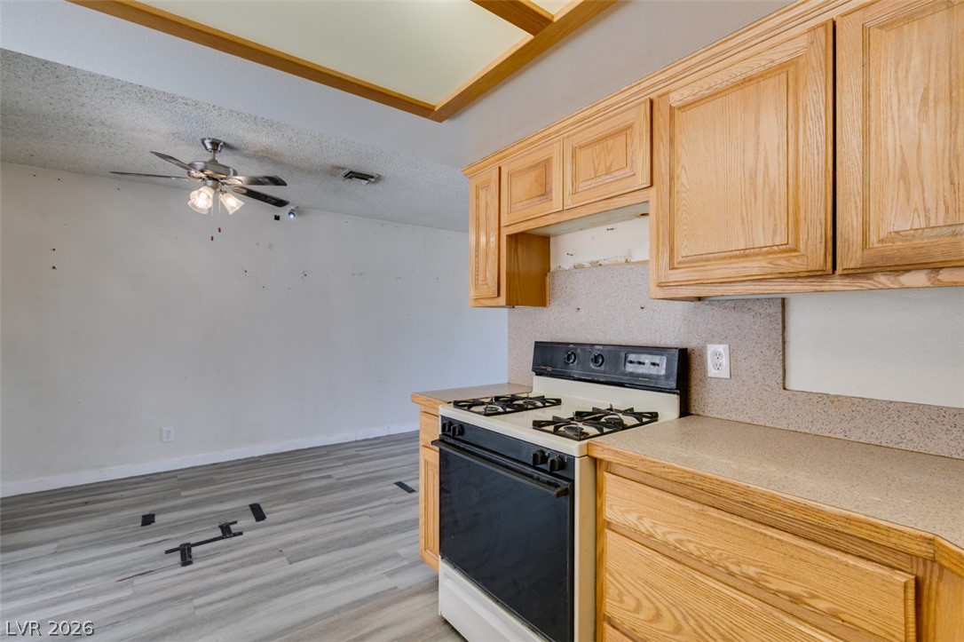 3845 Chutney Street Property Photo 26