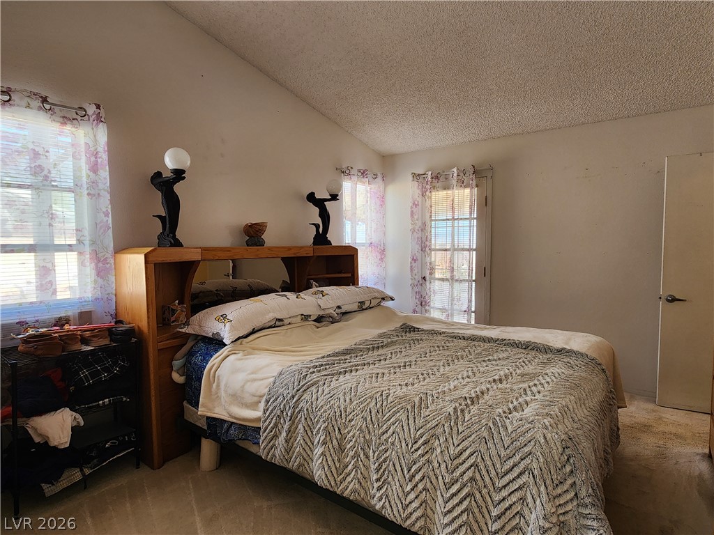 3244 Cactus Springs Drive Property Photo 13