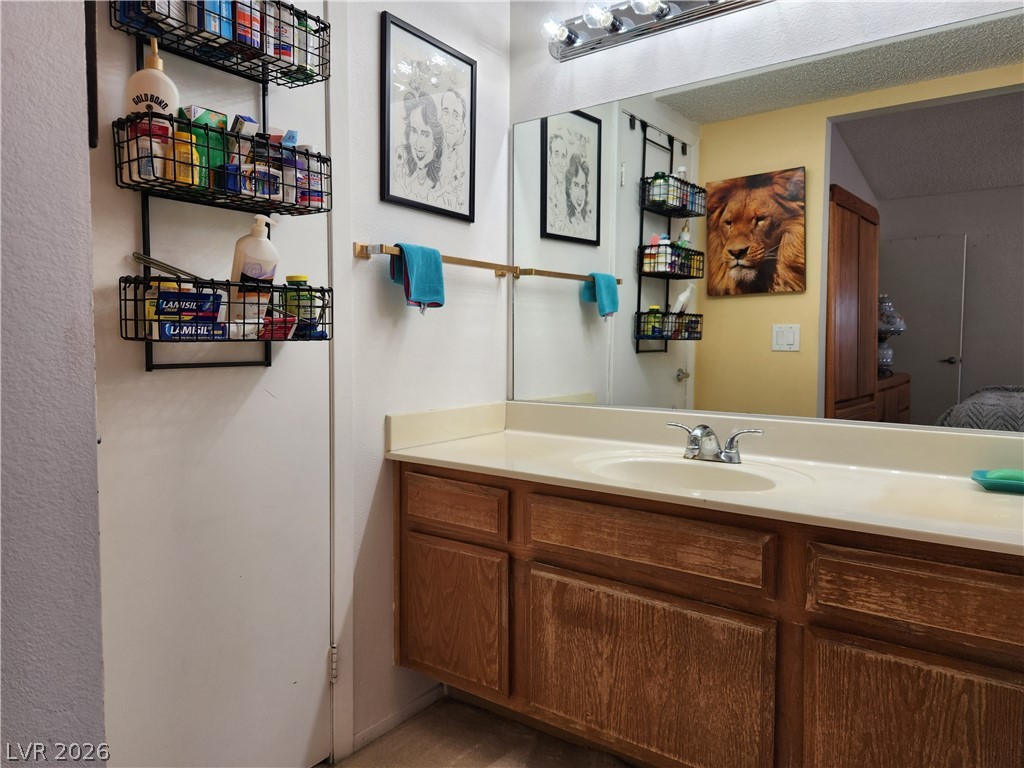 3244 Cactus Springs Drive Property Photo 16