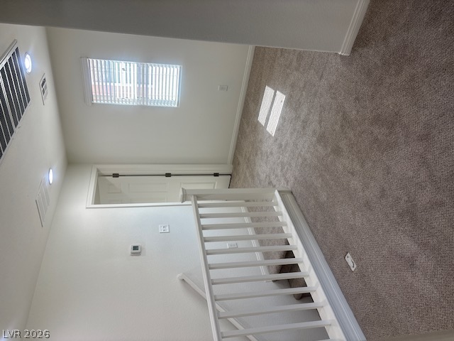 10635 Gale Wind Court Property Photo 15