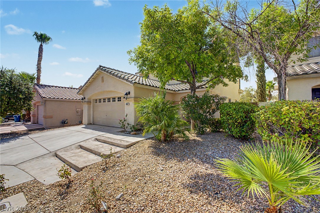 10547 Lilac Tree Avenue Property Photo 4