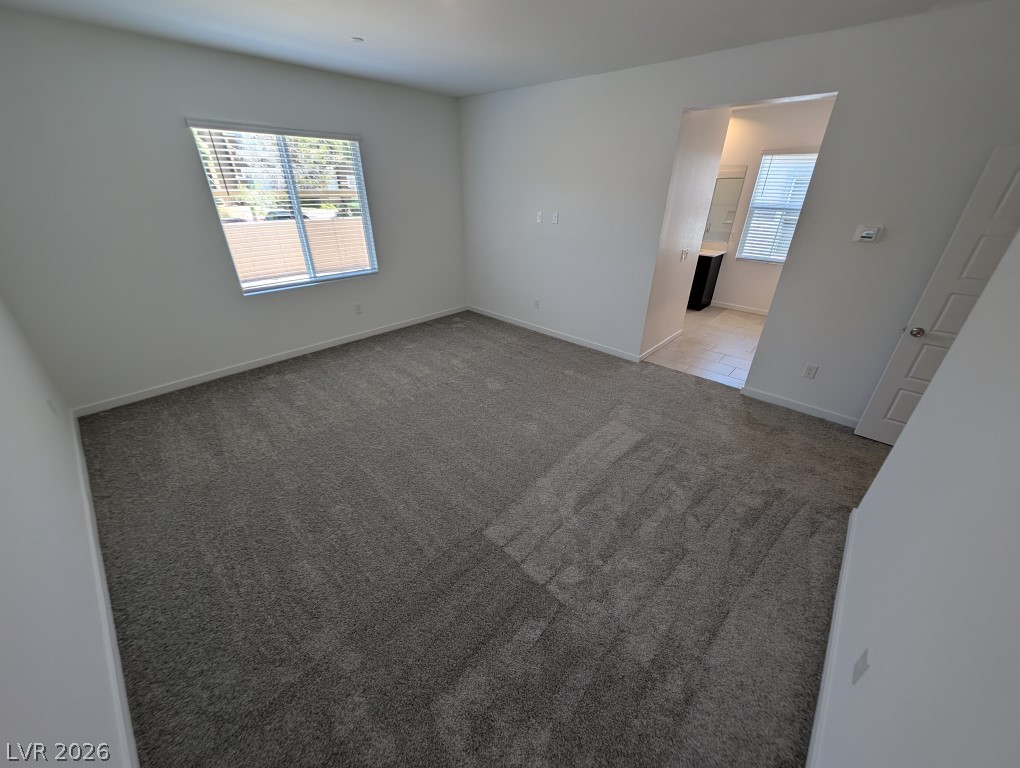 3339 Dancing Waters Street Property Photo 22