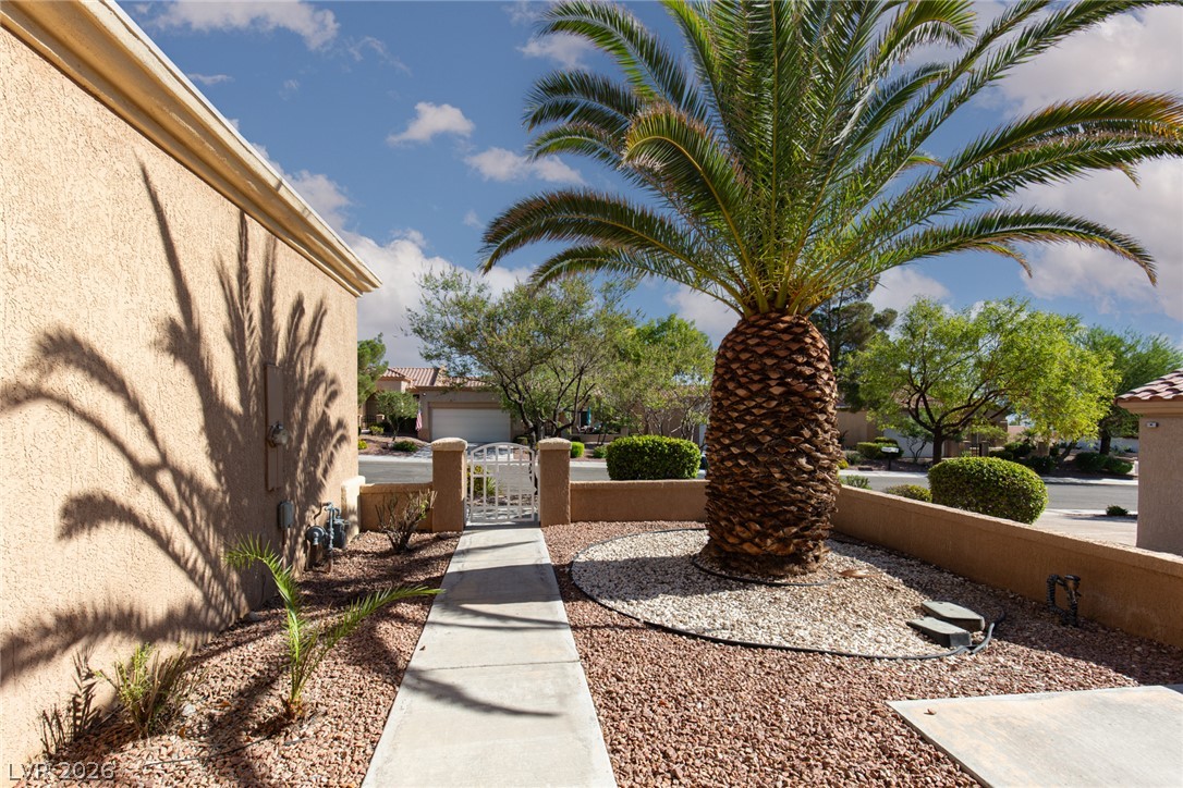 10009 Arbuckle Drive Property Photo 6